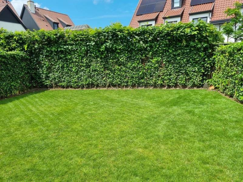 LOCATION Maison 4 CH Knokke-Heist - Middelhoek