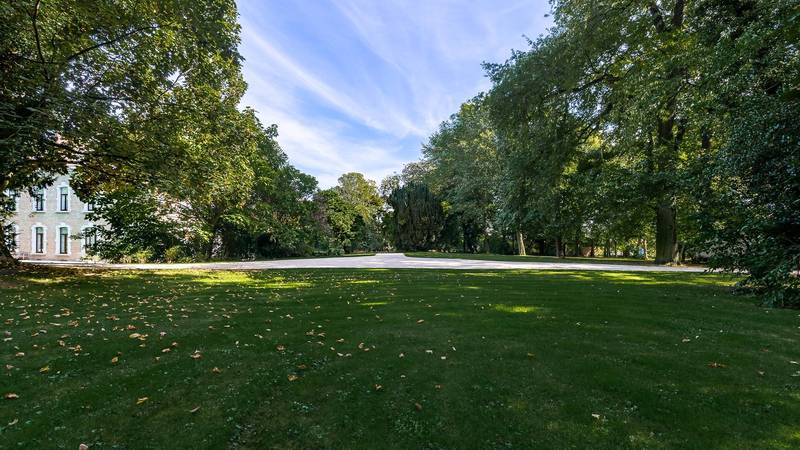 VENTE Château Lodelinsart -  Demeure restaurée / Domaine vert